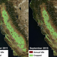 Illustration for article titled This Is What Five Years of Drought Has Done to Californias Farmland